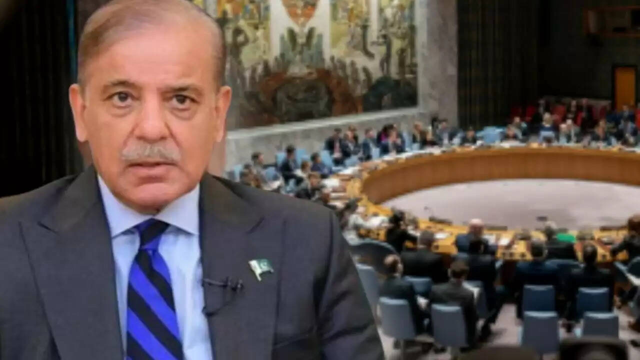 पाकिस्तान को जुलाई 2025 में UNSC की अध्यक्षता, भारत के लिए नई चुनौतियाँ