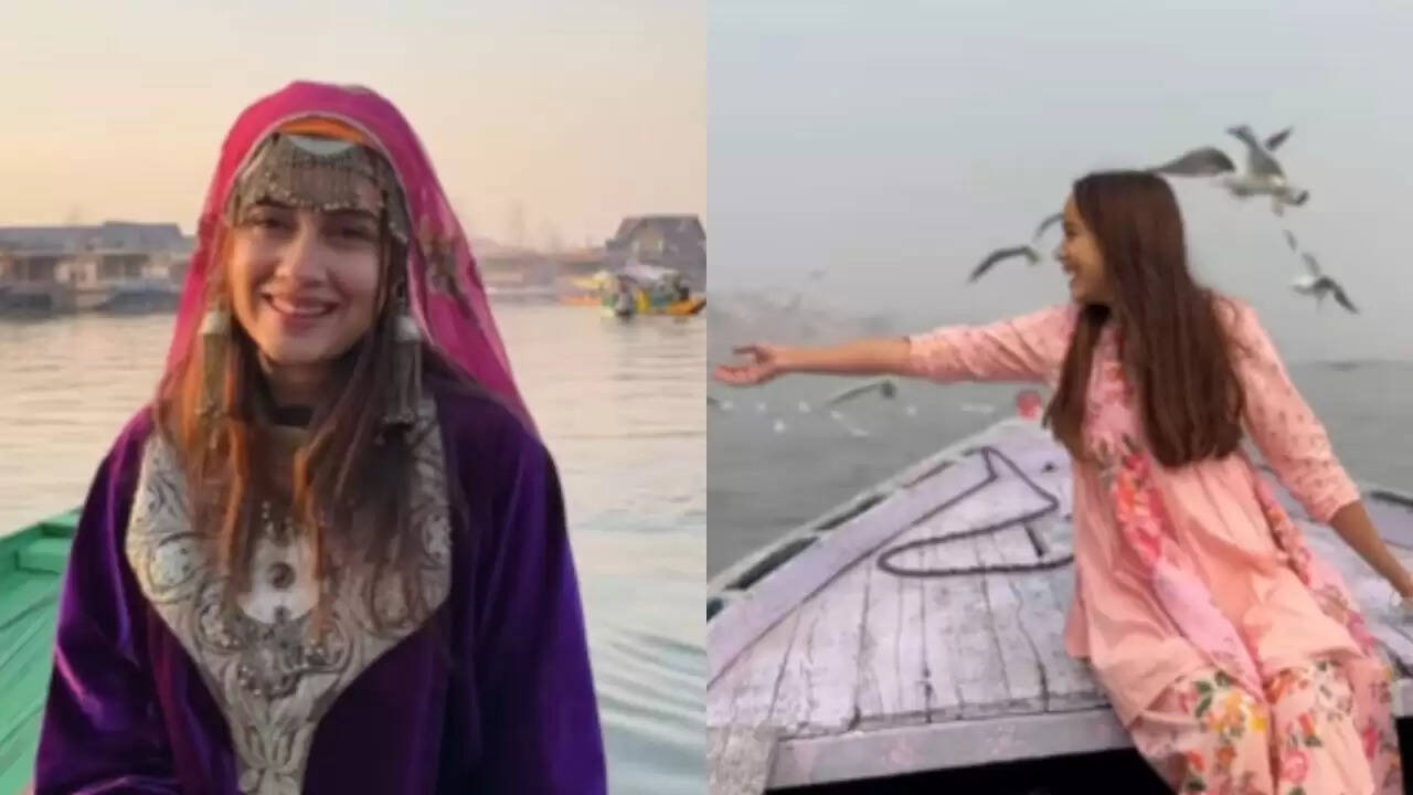 क्या भारत है महिलाओं के लिए सबसे असुरक्षित देश? Tanwi Dixit का विवादास्पद बयान
