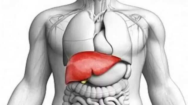 लीवर स्वास्थ्य के संकेत: पहचानें और बचें गंभीर समस्याओं से