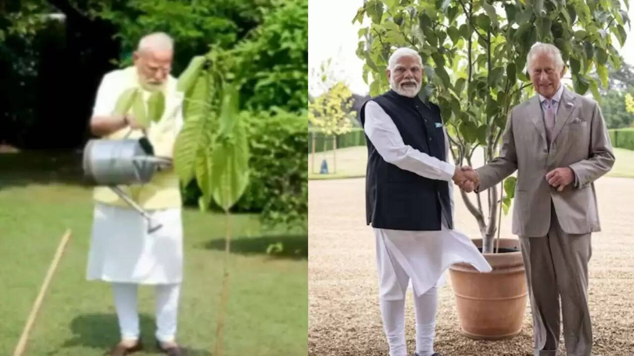 PM मोदी ने कदंब का पौधा लगाकर पर्यावरण संरक्षण का संदेश दिया