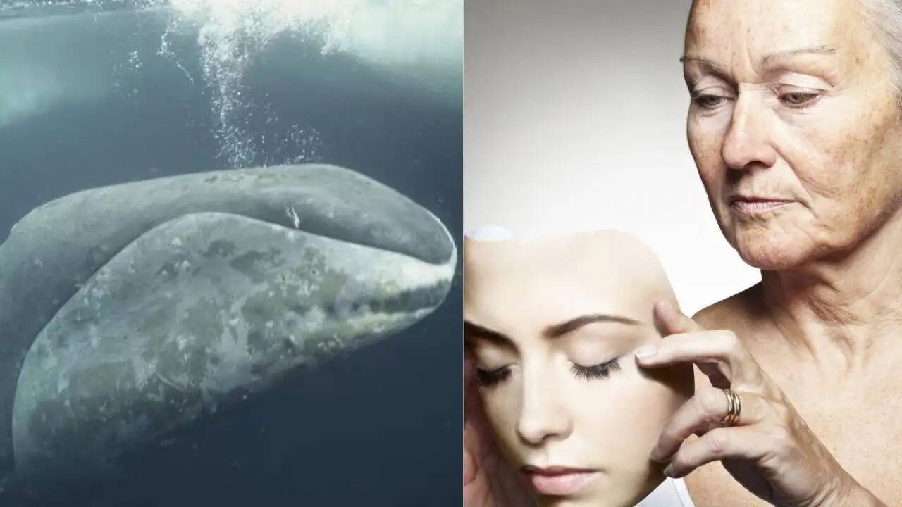 क्या इंसान 200 साल तक जी सकता है? वैज्ञानिकों की नई खोज