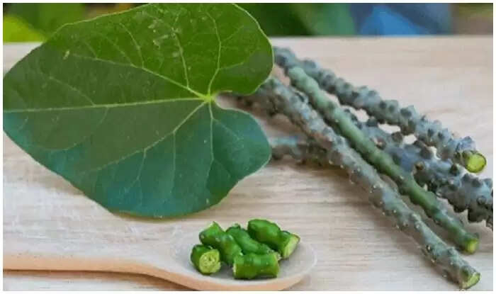 डायबिटीज से लड़ने में गिलोय के अद्भुत लाभ