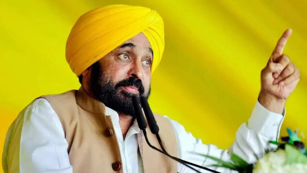 पंजाब सरकार का खाद्य सुरक्षा अभियान: मिलावटखोरी के खिलाफ सख्त कार्रवाई