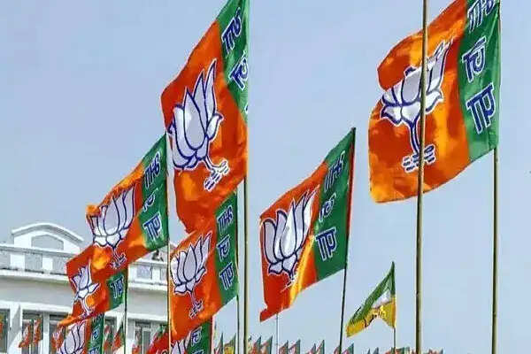 दिल्ली मेयर चुनाव में बीजेपी ने उम्मीदवारों की घोषणा की