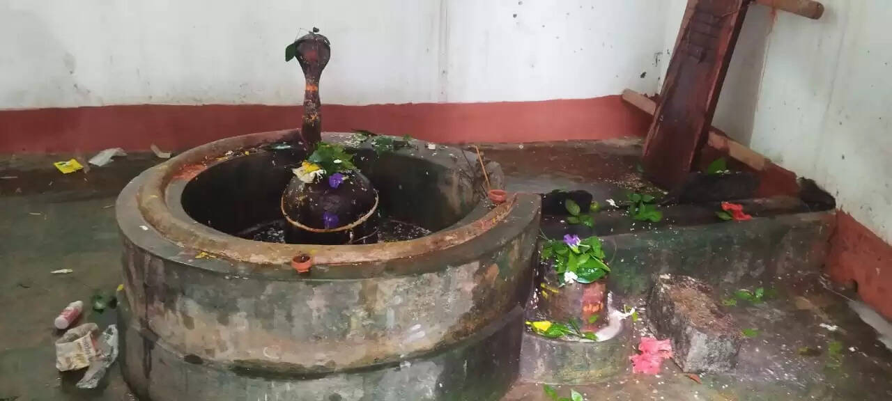 द्वादश ज्योतिर्लिंग के प्रतीक हैं बम्हणी गांव स्थित 12 शिवलिंग