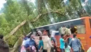 बाराबंकी में सड़क हादसे में पांच लोगों की मौत, पेड़ गिरने से हुआ बड़ा नुकसान