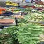 सब्जियों की कीमतों में भारी वृद्धि: आम आदमी की पहुंच से बाहर