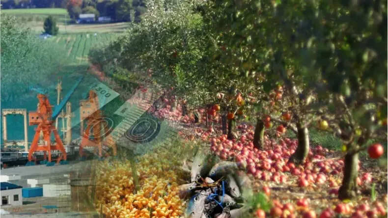 बलूचिस्तान: पाकिस्तान की आर्थिक और रणनीतिक चुनौती