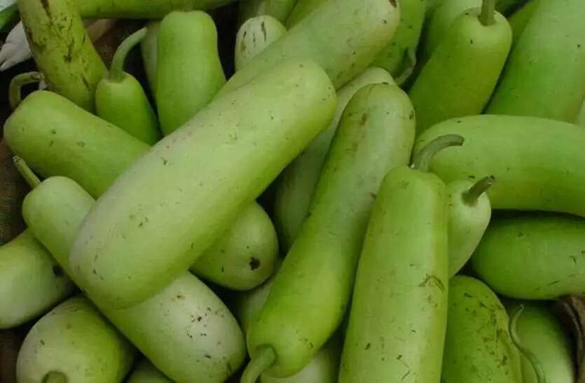 लौकी के अद्भुत फायदे और सेवन में सावधानियाँ