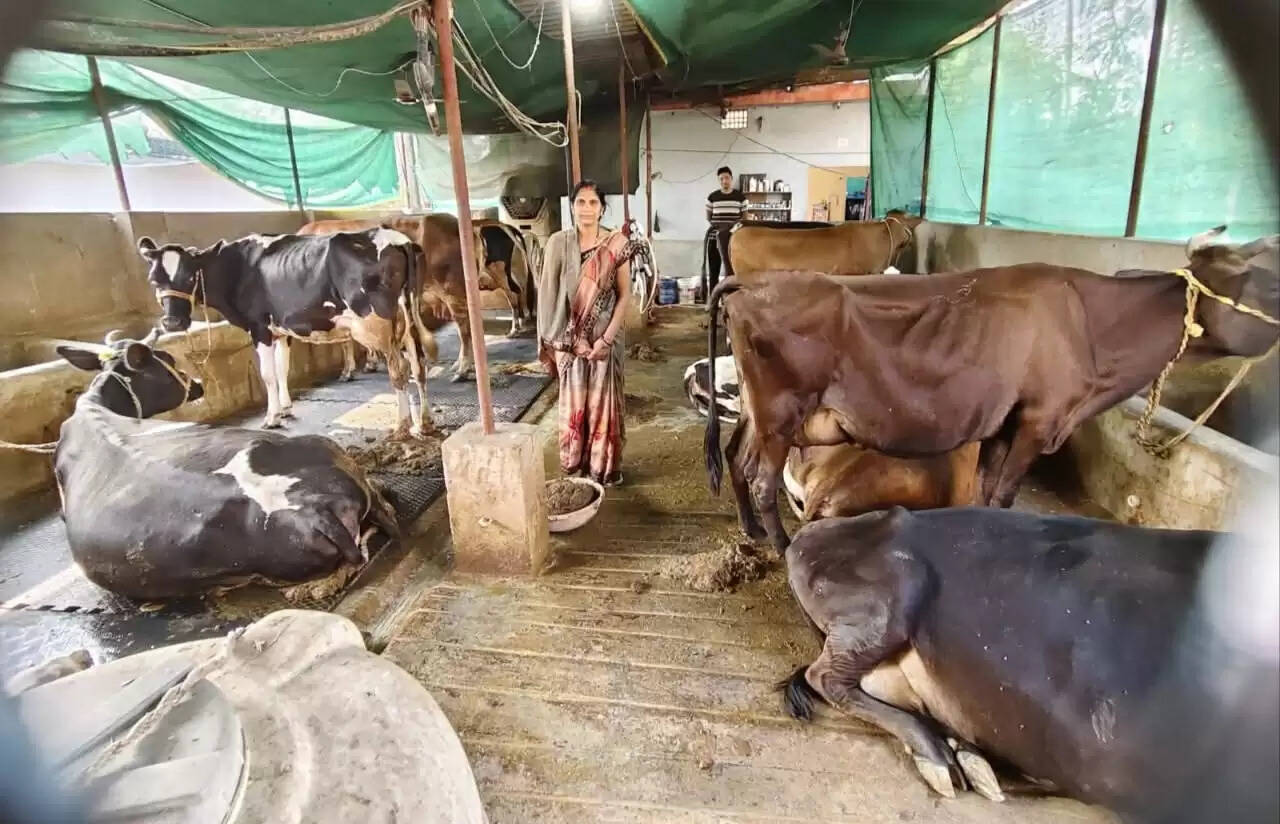 सामान्य गृहणी से सफल डेयरी उद्यमी बनी श्रीमती ज्योत्सना पटेल