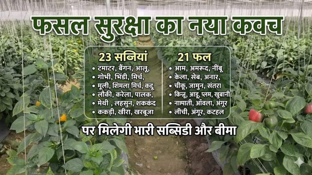 हरियाणा में बागवानी बीमा योजना का विस्तार, किसानों को मिलेगी नई सुरक्षा