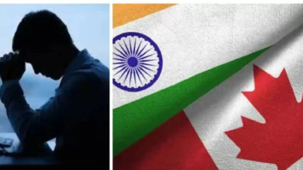 कनाडा में भारतीय युवक की वापसी की चाह: क्या विदेश में जीवन वैसा है जैसा सोचा था?