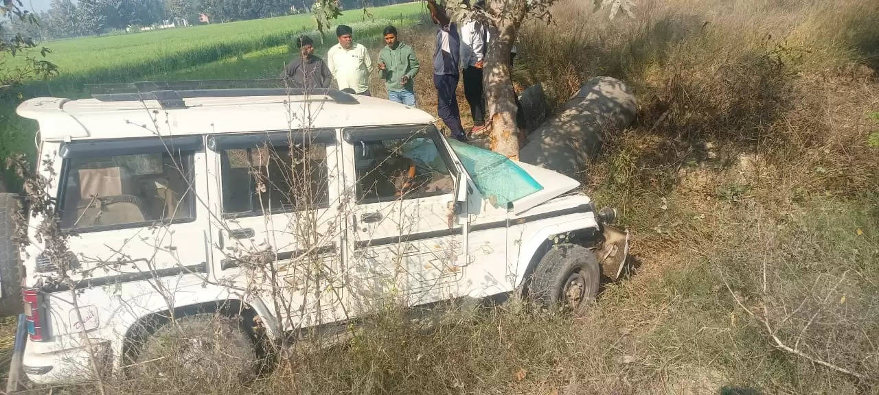 श्रद्धालुओं से भरी बोलेरो पलटी, 6 घायल