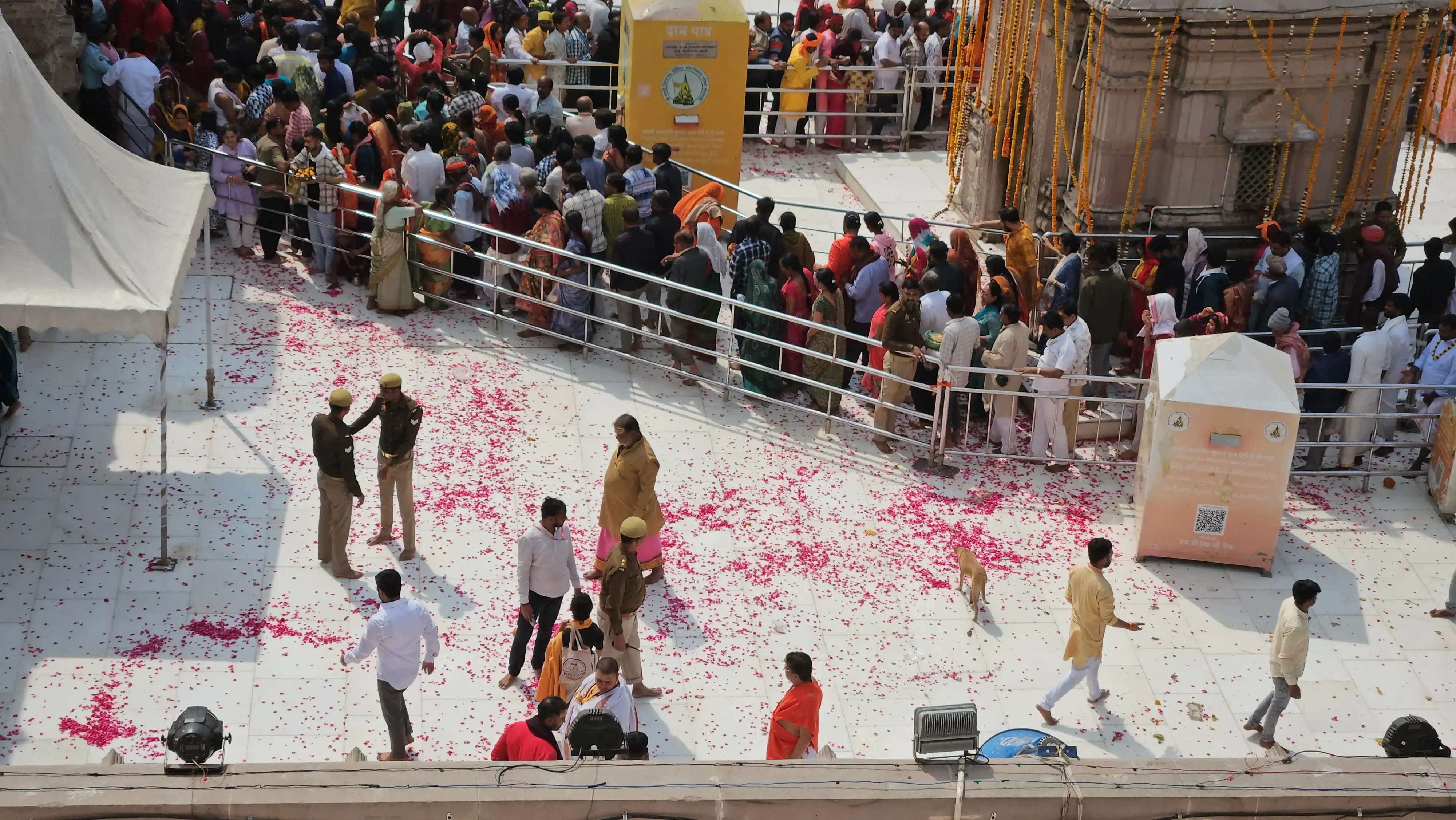 महाशिवरात्रि : काशी विश्वनाथ दरबार में शिवभक्तों पर हेलीकॉप्टर से पुष्पवर्षा