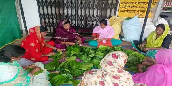 बलरामपुर : सरई पत्तों से दोना-पत्तल बनाकर प्लास्टिक को मात, संवार रहीं आजीविका