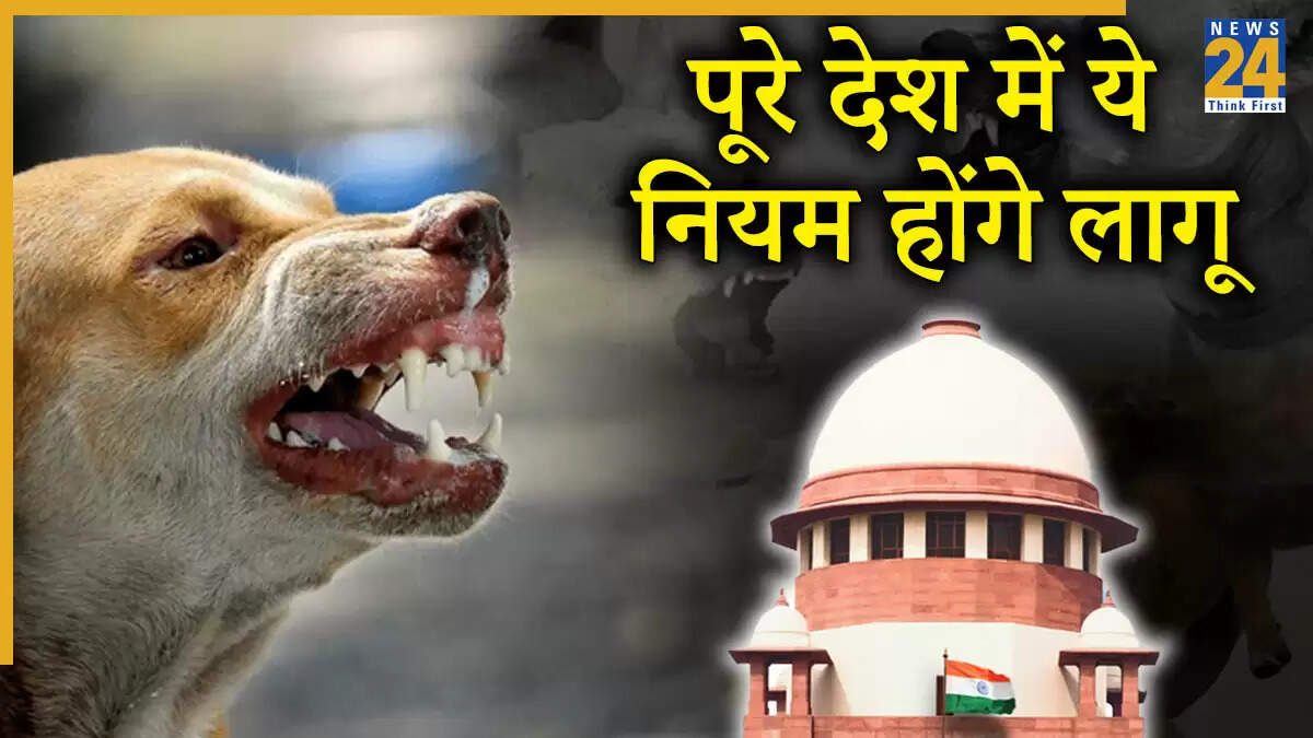 सुप्रीम कोर्ट का आदेश: आवारा कुत्तों पर 2 लाख का जुर्माना