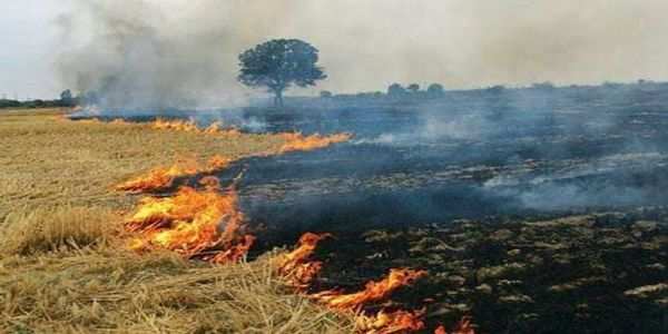 छतरपुर: नरवाई में आग को लेकर दमोह में सक्रियता तो छतरपुर निष्क्रिय