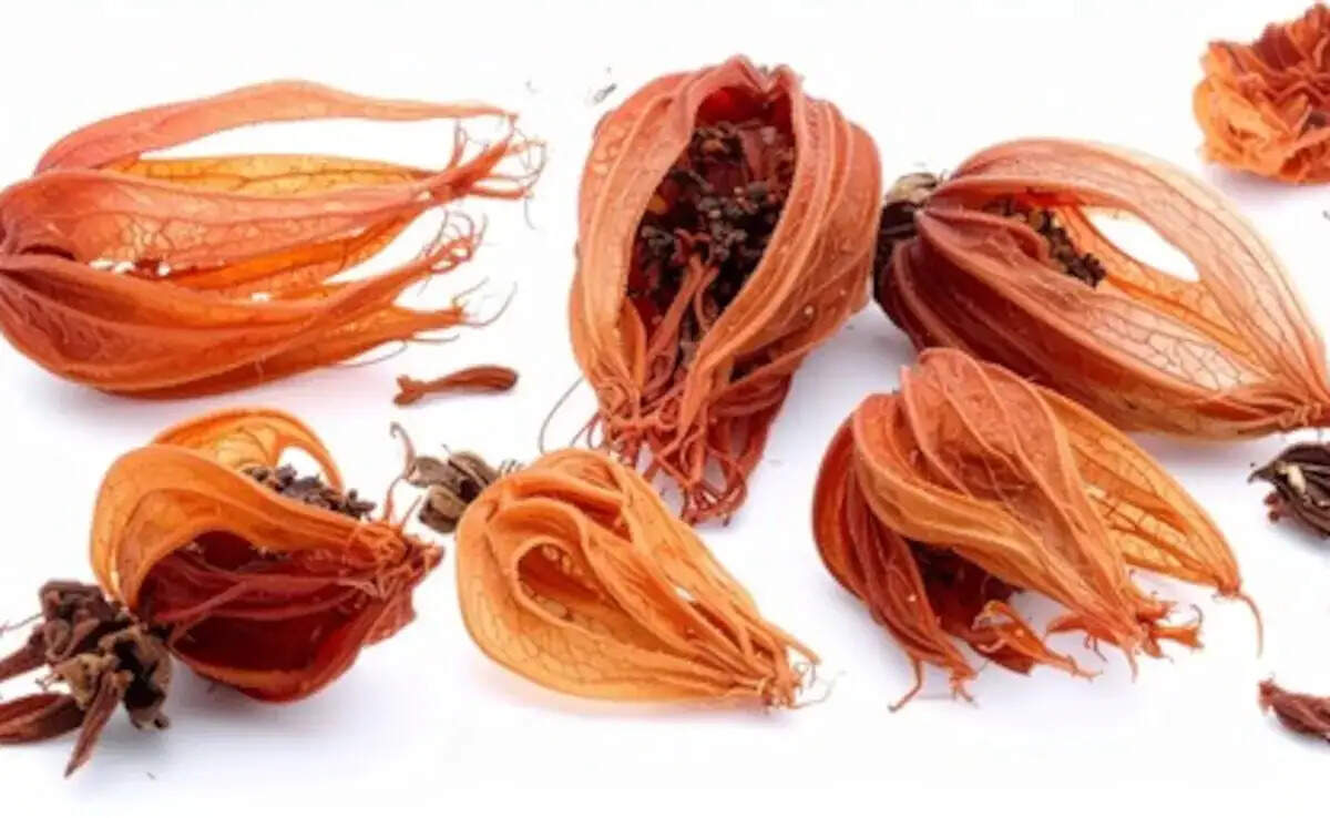 जावित्री के अद्भुत लाभ: स्वास्थ्य के लिए फायदेमंद मसाला