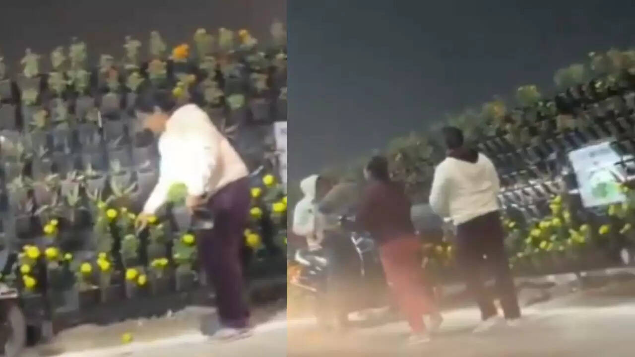 लखनऊ में पीएम मोदी के कार्यक्रम के बाद सजावटी गमलों की चोरी का मामला