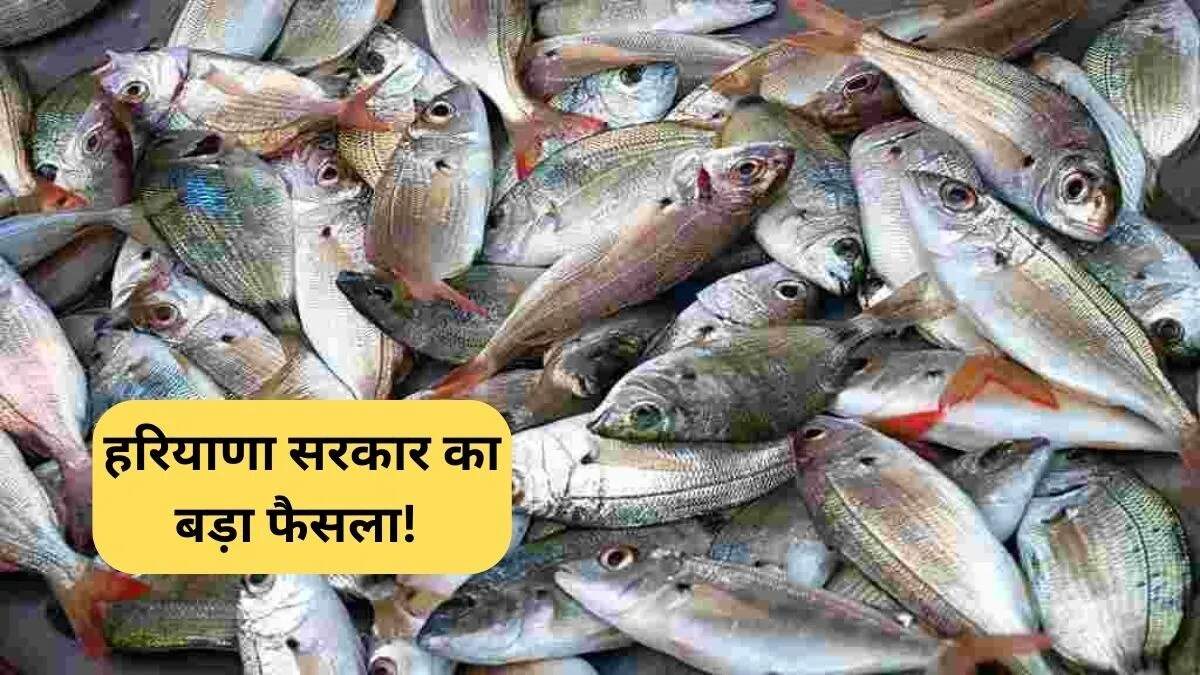 हरियाणा सरकार की नई कैशलैस स्वास्थ्य योजना: कर्मचारियों के लिए राहत