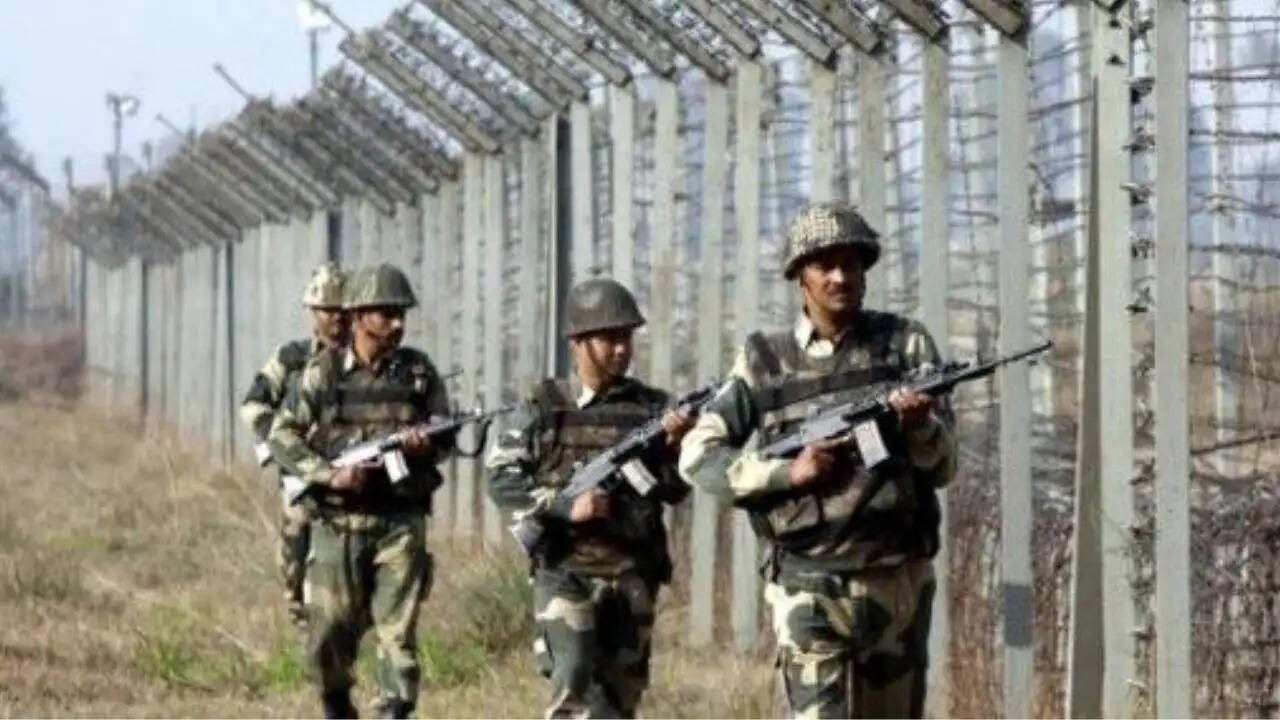 बाड़मेर में BSF ने पकड़ा पाकिस्तानी नागरिक, जांच जारी