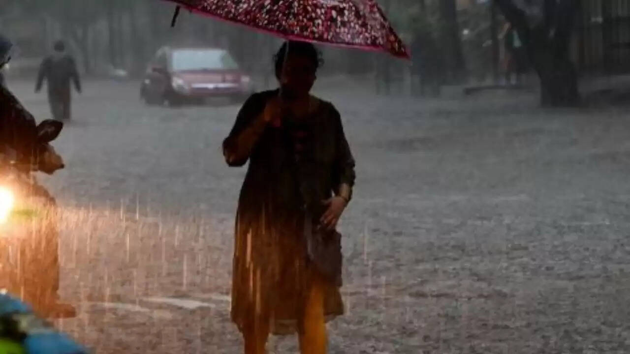 पंजाब और हिमाचल में बारिश से तबाही: जान-माल का नुकसान