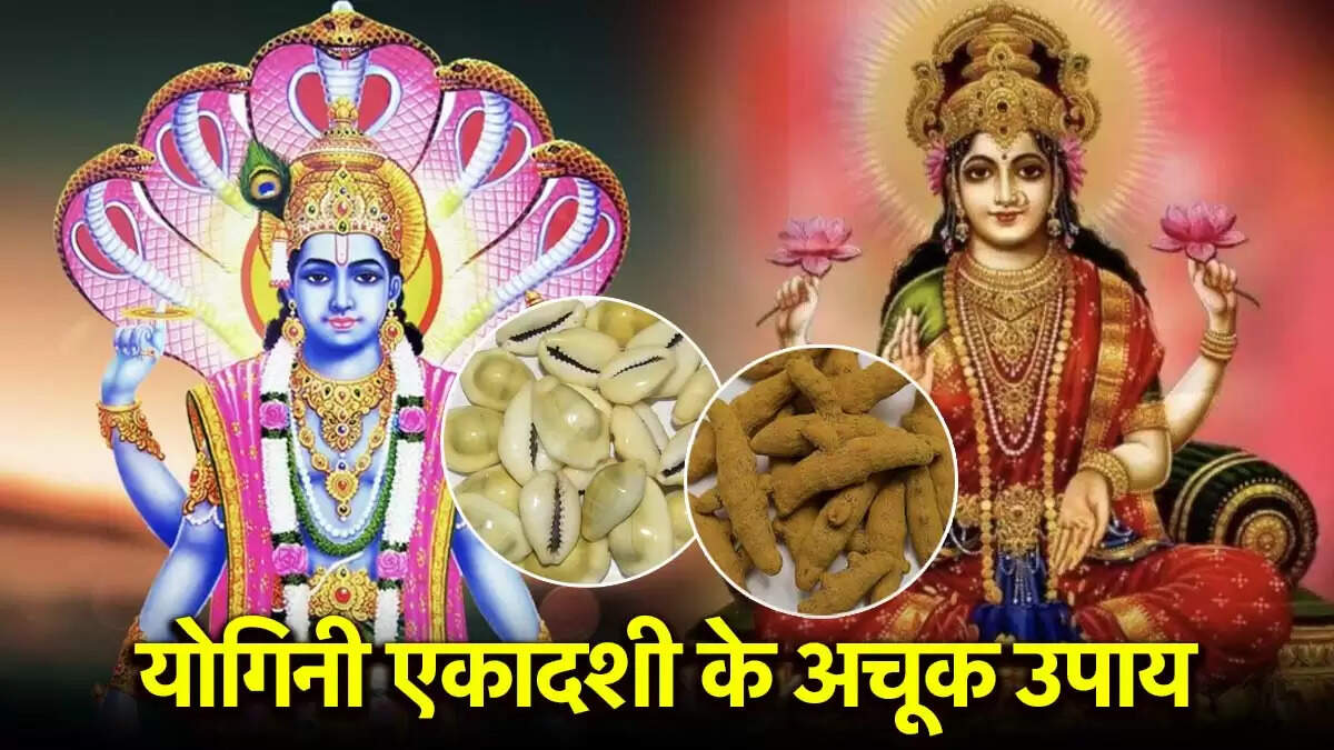 योगिनी एकादशी: विशेष उपाय और व्रत का महत्व