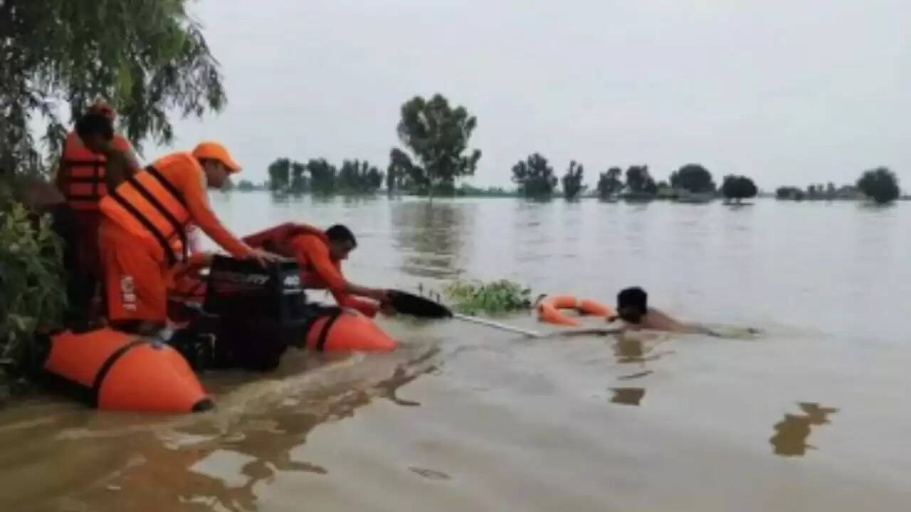 पंजाब में बाढ़ से भारी तबाही, राहत कार्य जारी