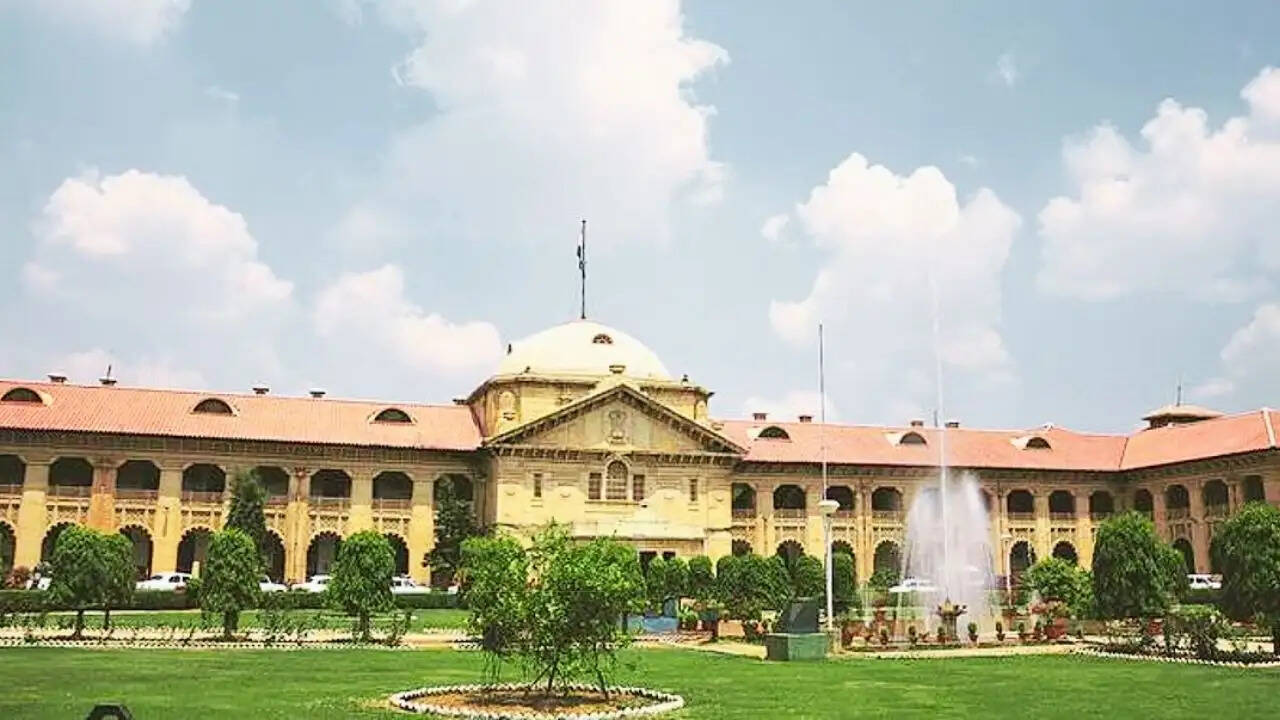 इलाहाबाद हाई कोर्ट की सख्त चेतावनी: शादी के लिए आर्थिक जिम्मेदारी जरूरी