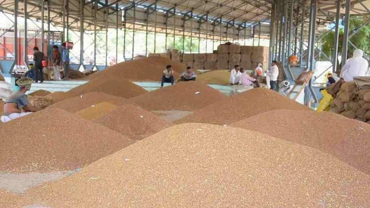 हरियाणा में किसानों के लिए बीज सब्सिडी की नई योजना