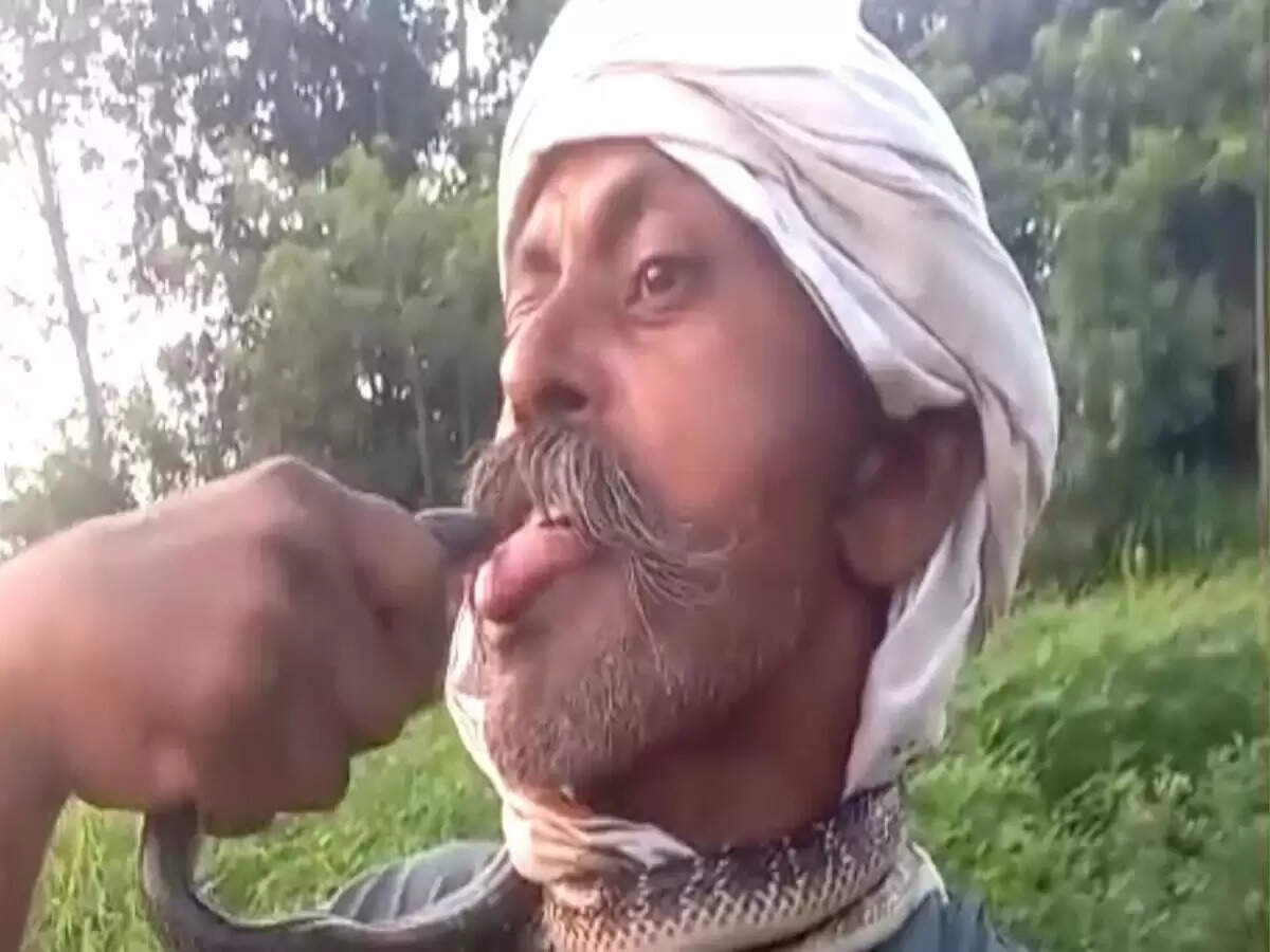 सांप के काटने से युवक की जान को खतरा, अंधविश्वास का खामियाजा