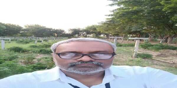 बुंदेलखंड की जमीं पर पहली बार अंजीर के लहलहाए पेड़