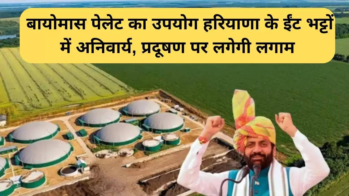 हरियाणा में ईंट भट्टों के लिए बायोमास पेलेट का अनिवार्य उपयोग