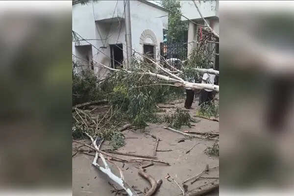 हावड़ा नगर निगम में पेड़ गिरने से दो कर्मचारियों की जान गई