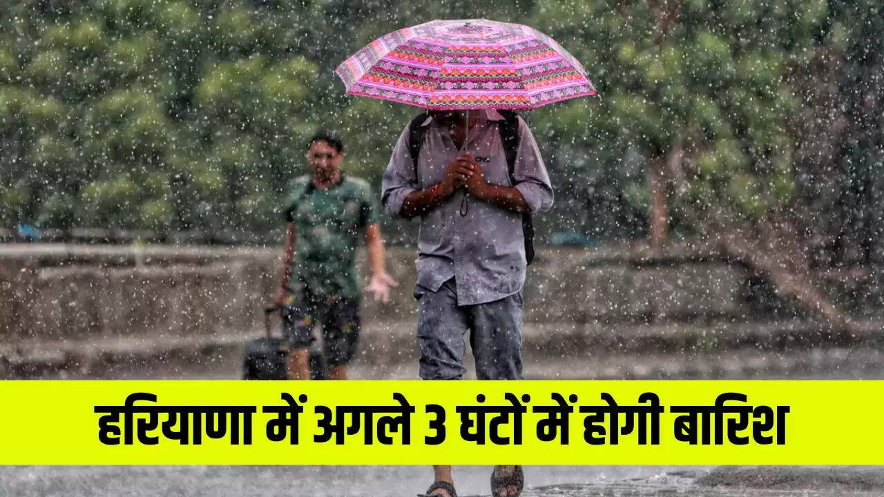 हरियाणा में बारिश का अलर्ट: अगले 3 घंटों में इन जिलों में होगी बारिश