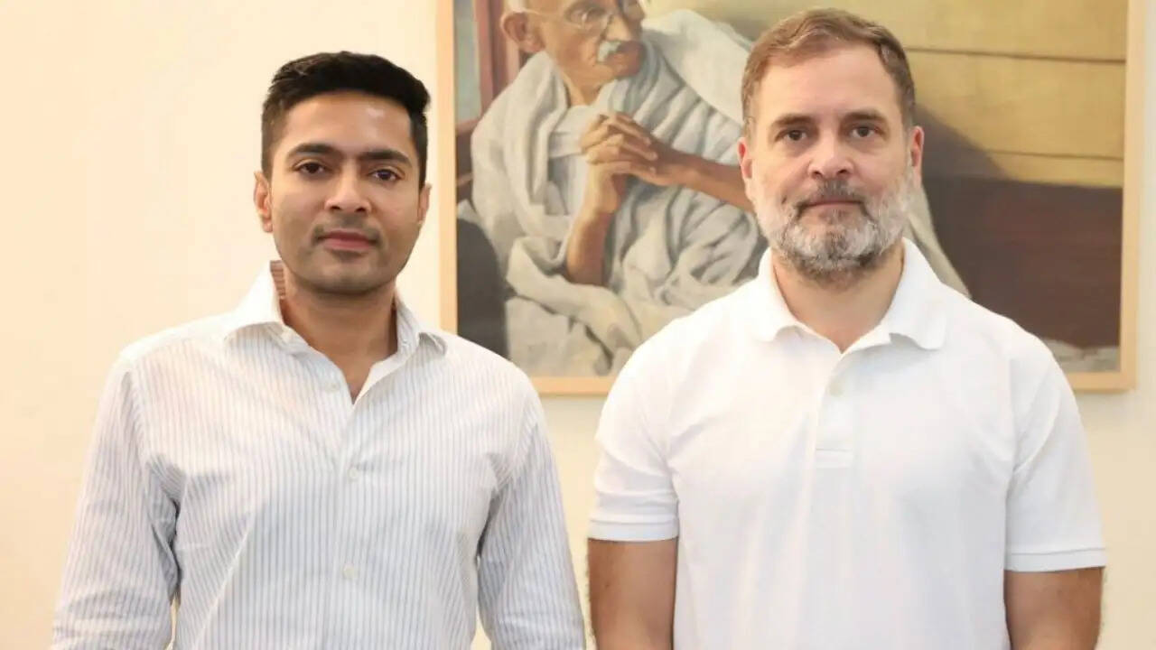 क्या विपक्षी गठबंधन 'इंडिया' की एकता से बदलेंगे राजनीतिक समीकरण? जानें अभिषेक बनर्जी और राहुल गांधी की मुलाकात के बारे में
