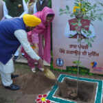 पंजाब में पौधरोपण अभियान की शुरुआत, सीएम ने दी पर्यावरण सुरक्षा की अपील