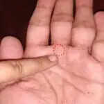 हथेली में शनि रेखा: जानें इसके महत्व और जीवन पर प्रभाव