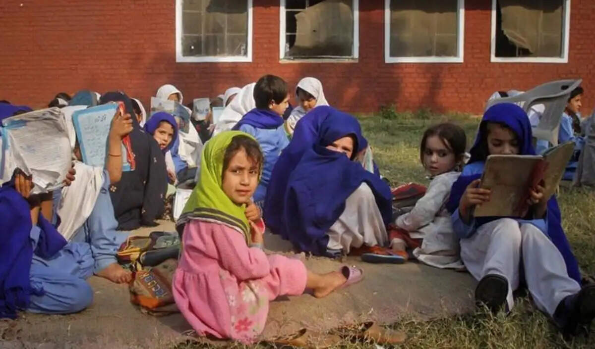 जापान में काले भालू की खोज जारी, स्कूल बंद