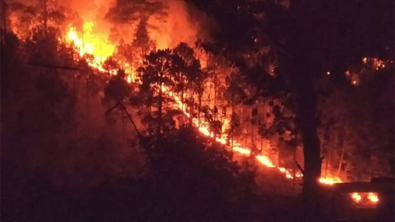 जम्मू-कश्मीर में जंगल की आग से लैंडमाइनों में धमाके, सुरक्षा बलों की चिंता बढ़ी