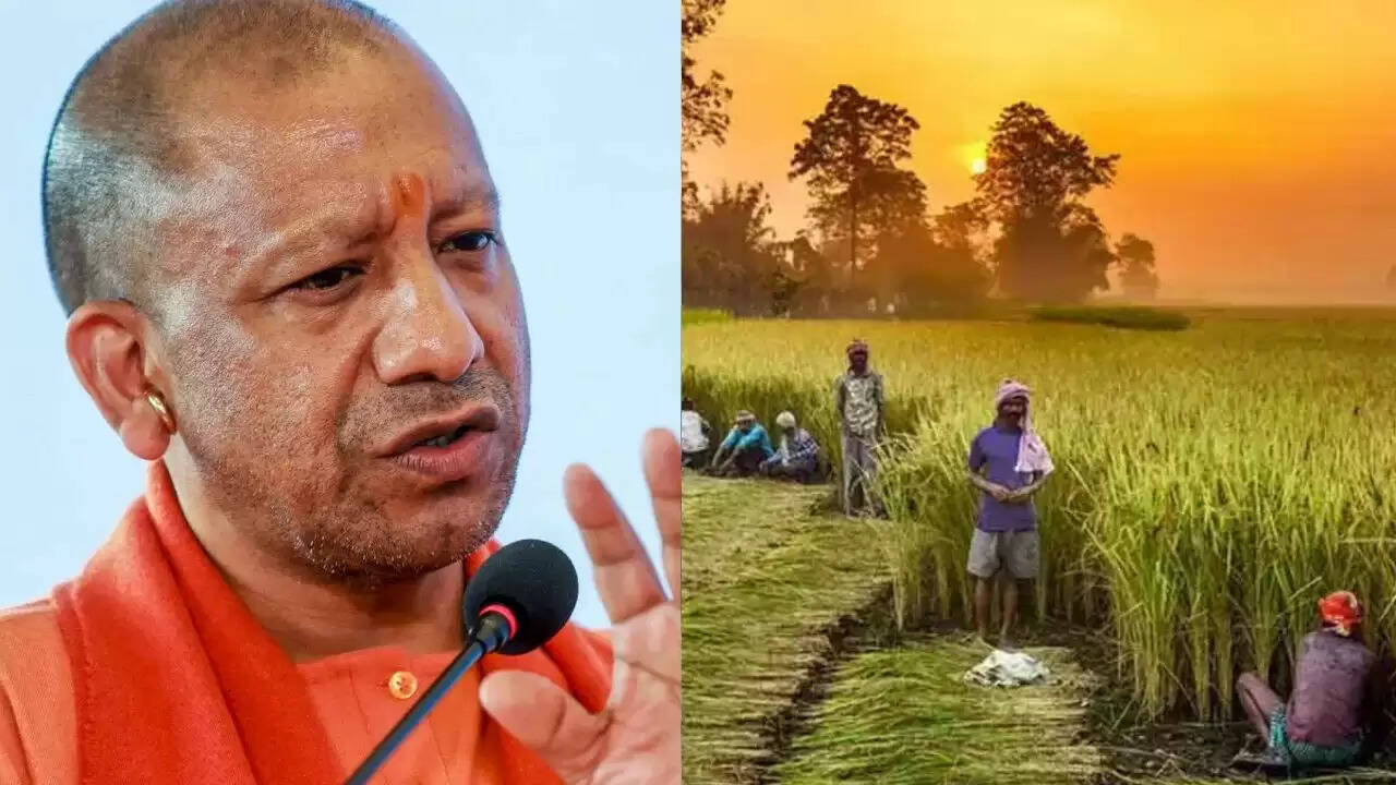 योगी सरकार ने किसानों के लिए बढ़ाए न्यूनतम समर्थन मूल्य