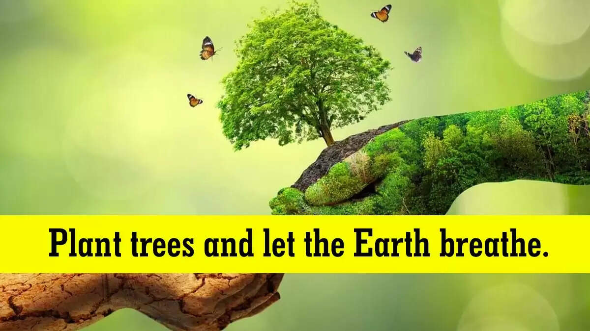 वन महोत्सव 2025: पेड़ लगाएं, प्रकृति को बचाएं