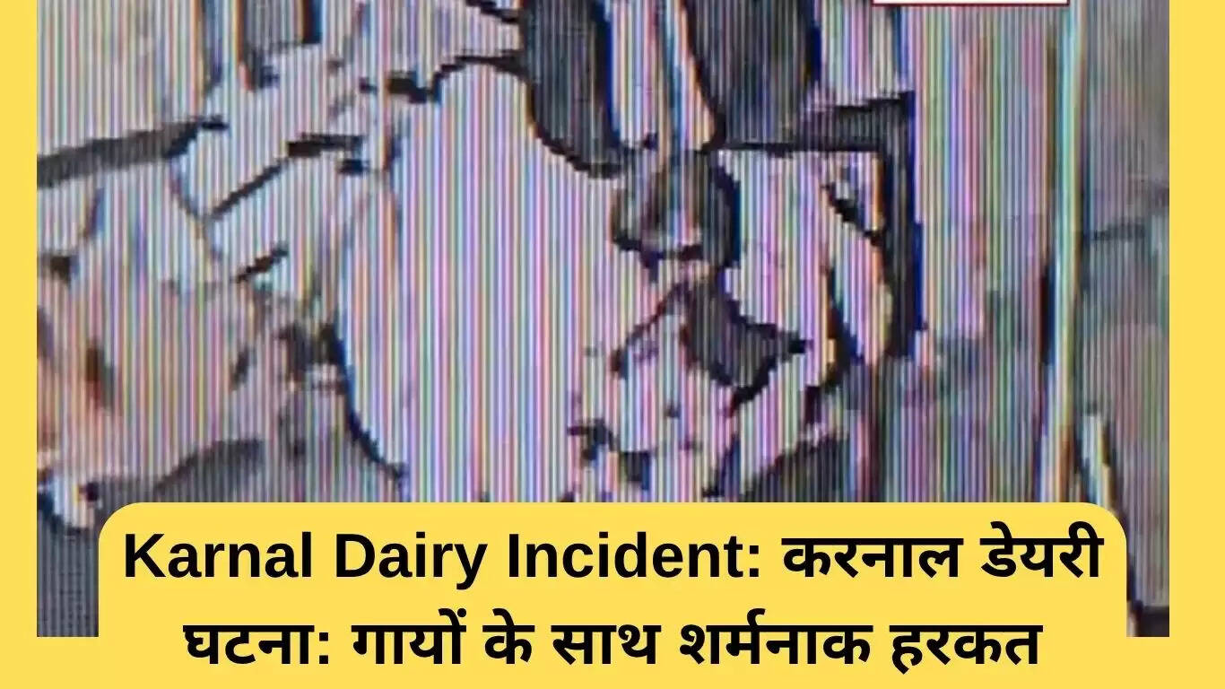 करनाल डेयरी में घिनौनी हरकत: युवक की शर्मनाक हरकतें