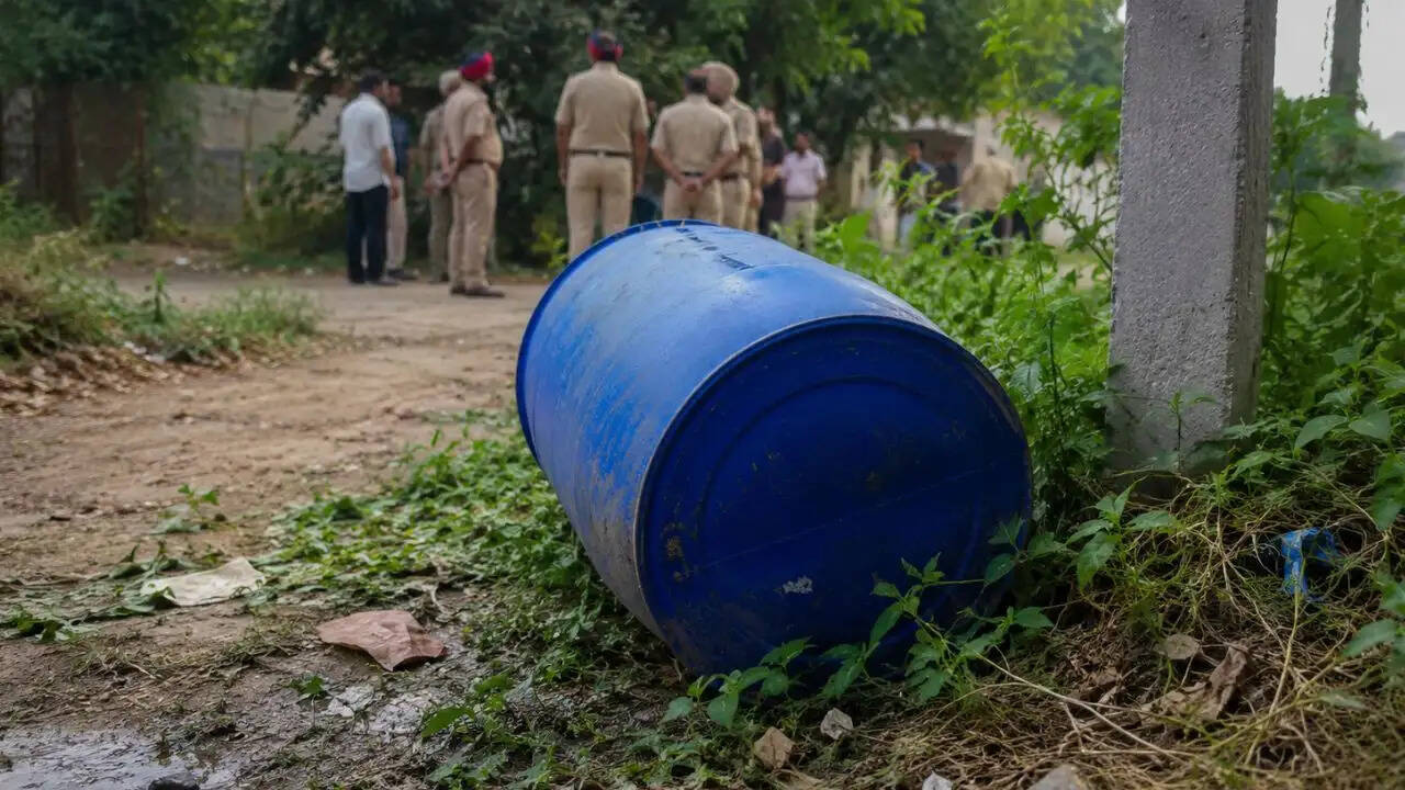 पटियाला में नीले ड्रम में मिली युवती की लाश, हत्या की आशंका