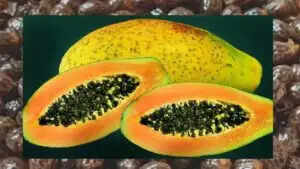 पपीते के बीज: स्वास्थ्य के लिए अद्भुत लाभ