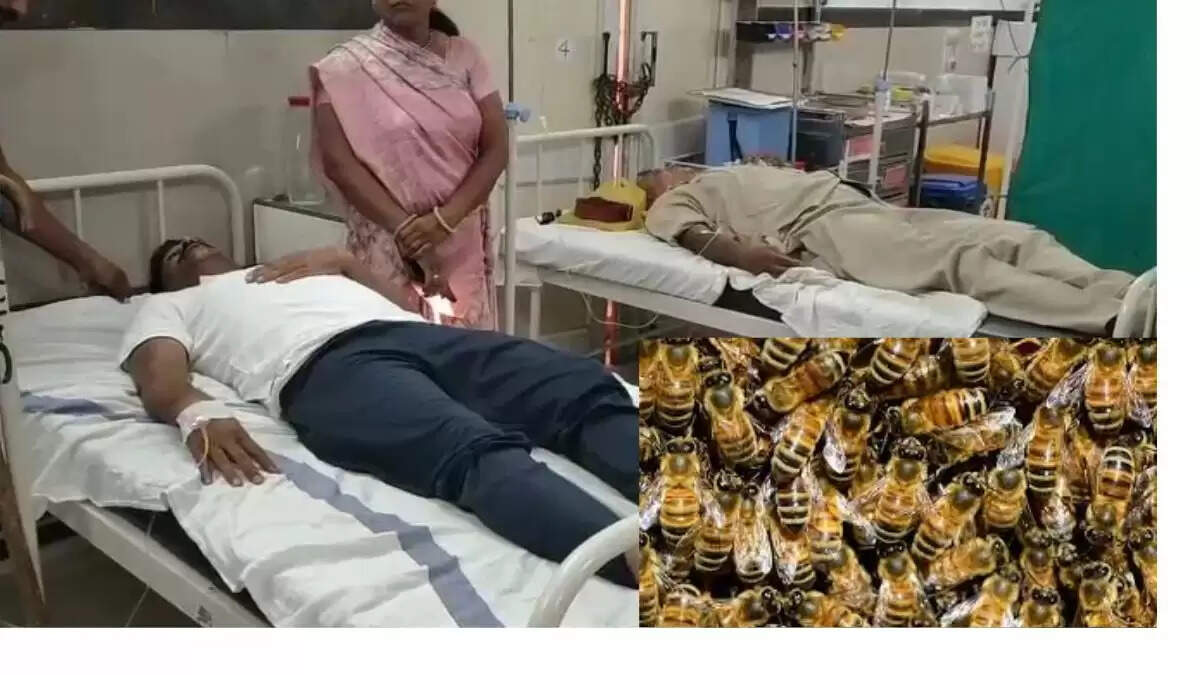 उज्जैन में मधुमक्खियों के हमले से पुलिस इंस्पेक्टर की मौत, पांच घायल