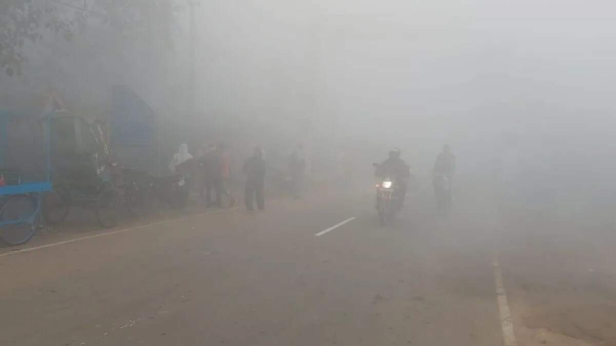 पानीपत में मौसम का हाल: ठंड बढ़ने से धान की फसल पर खतरा