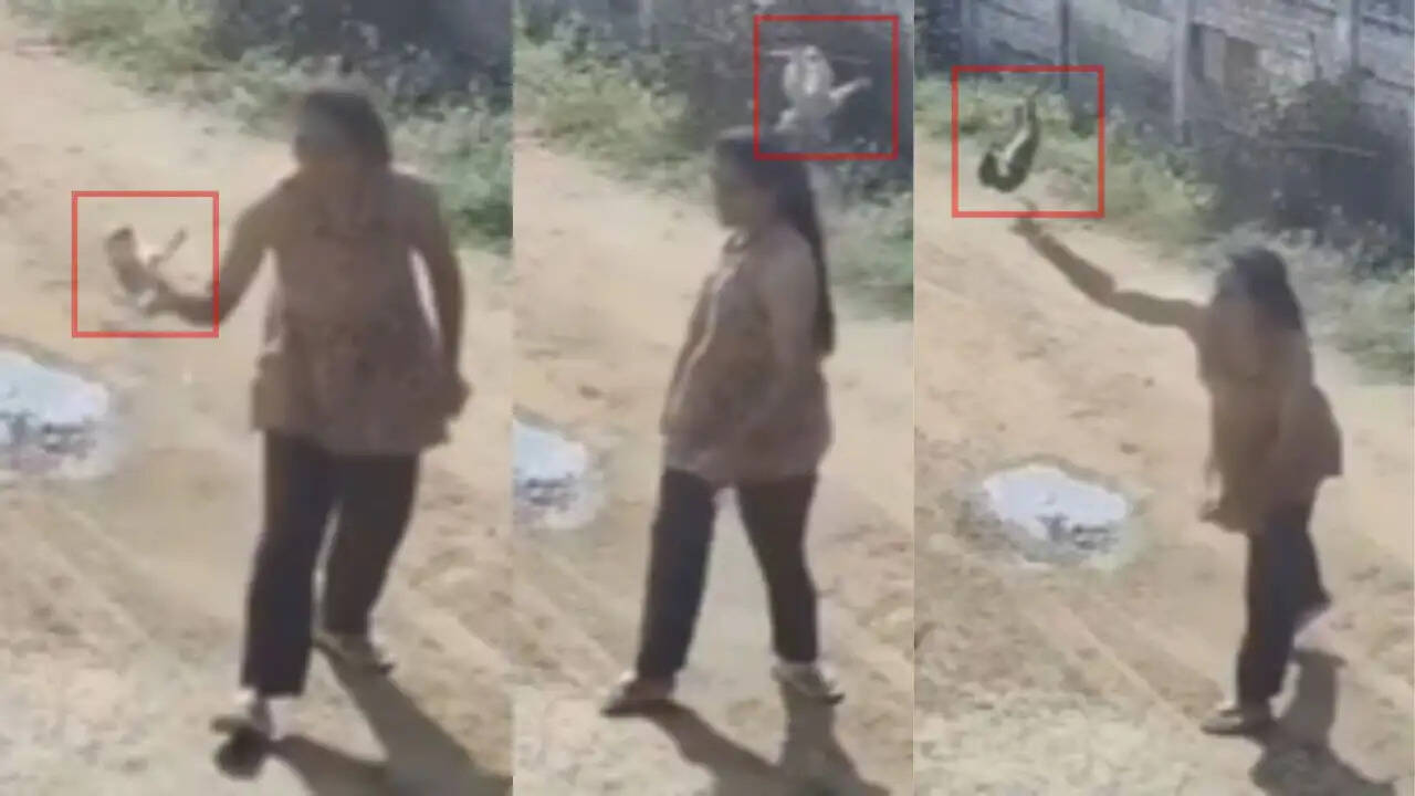 क्या इंसानियत को शर्मसार करने वाली है यह महिला? जानिए पिल्लों पर क्रूरता का मामला