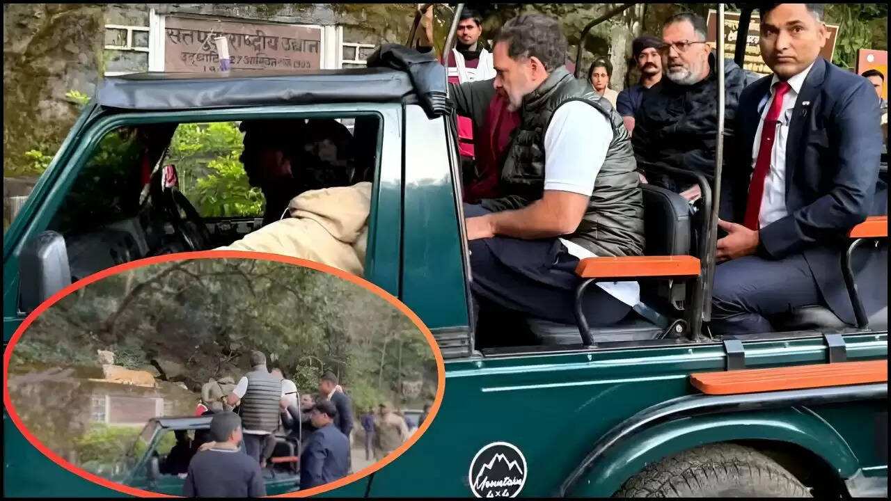 बीजेपी ने राहुल गांधी पर लगाया जंगल सफारी का आरोप, चुनावी माहौल में उठे सवाल