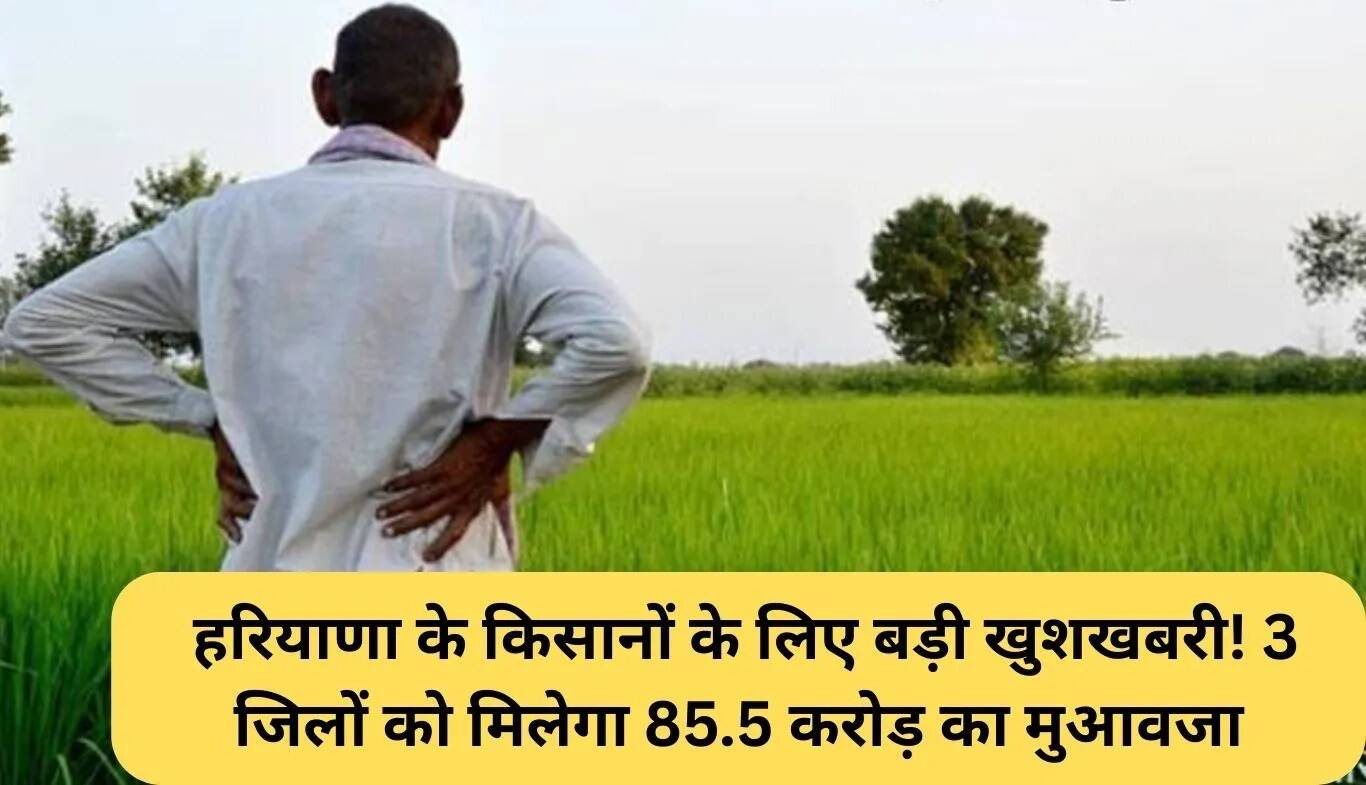 हरियाणा के किसानों के लिए राहत: 85.5 करोड़ रुपये का मुआवजा